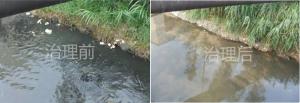 新野（yě）內河整治效果